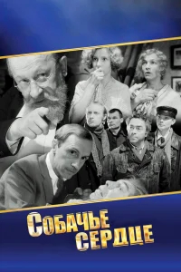 Собачье сердце  (1988) бесплатно